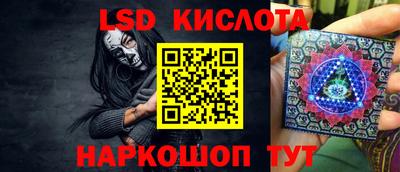 прущие грибы Донской