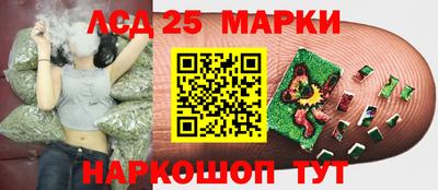 прущие грибы Донской