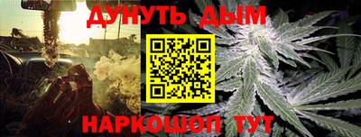 прущие грибы Донской