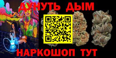 спиды Дубна