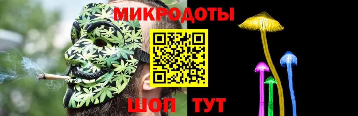Псилоцибиновые грибы мицелий Буйнакск